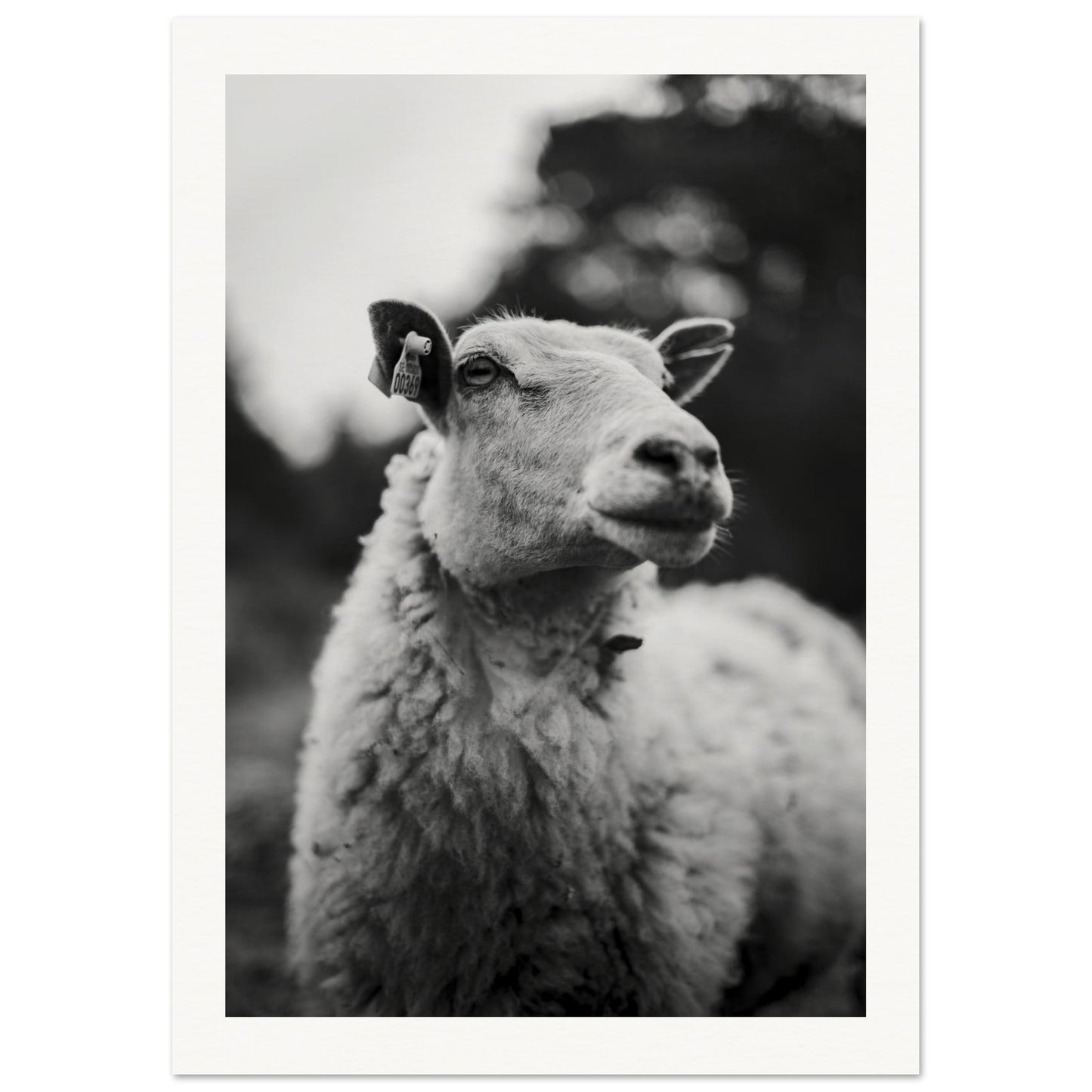 58d9b41d-69e4-4ae5-a0e5-80f80d21e7ba