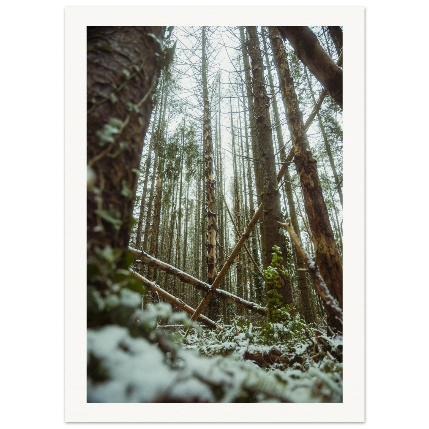 59503af5-ef27-4e3c-a1b4-9d95fe49f9e1