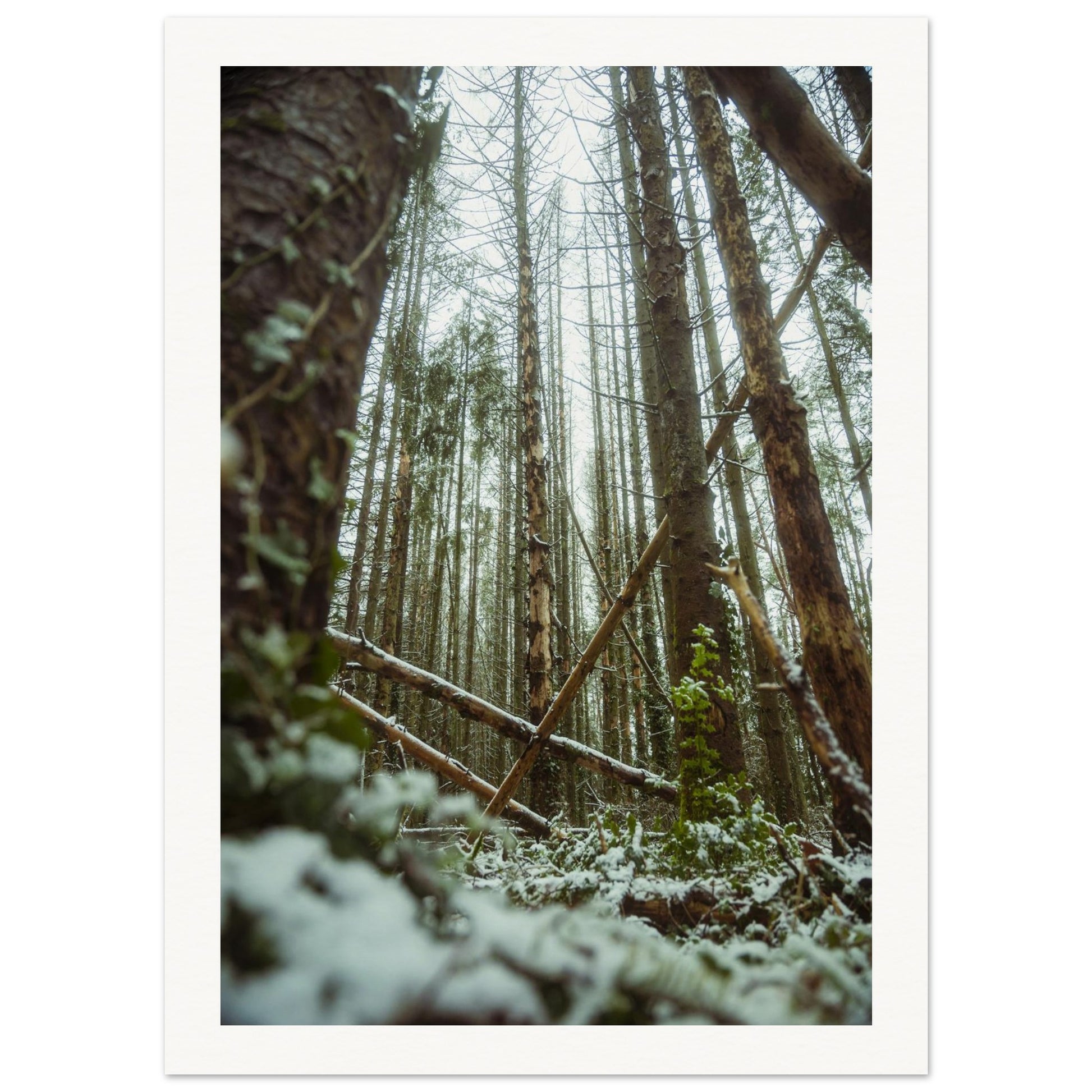 59503af5-ef27-4e3c-a1b4-9d95fe49f9e1