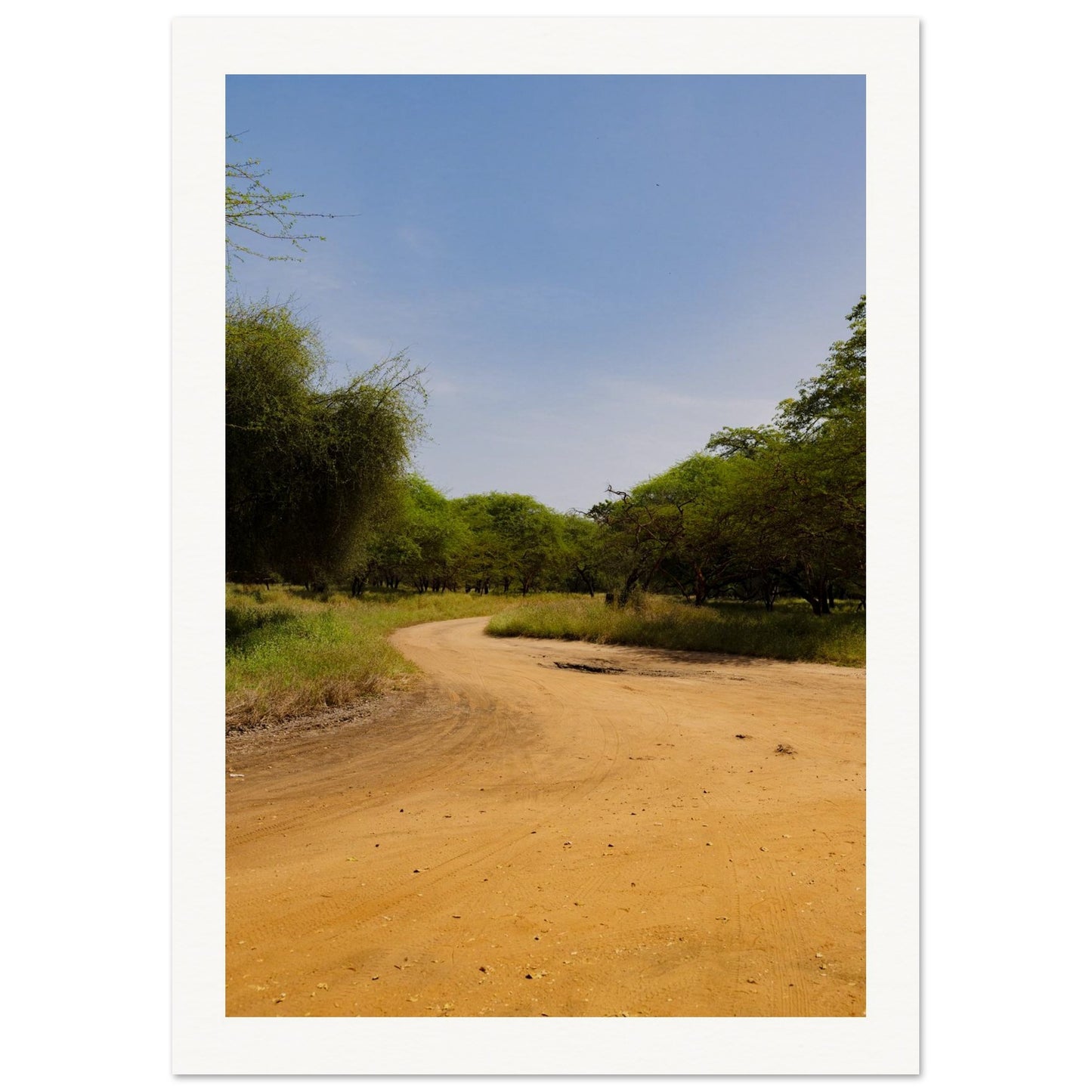 5a6436ac-8ce6-46b4-a983-4e6d6caf5239