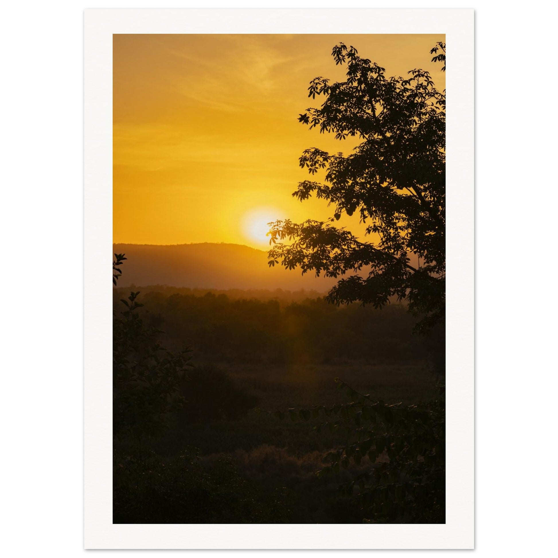 5bbe8a66-ea1b-43af-aede-8af8cac2df37