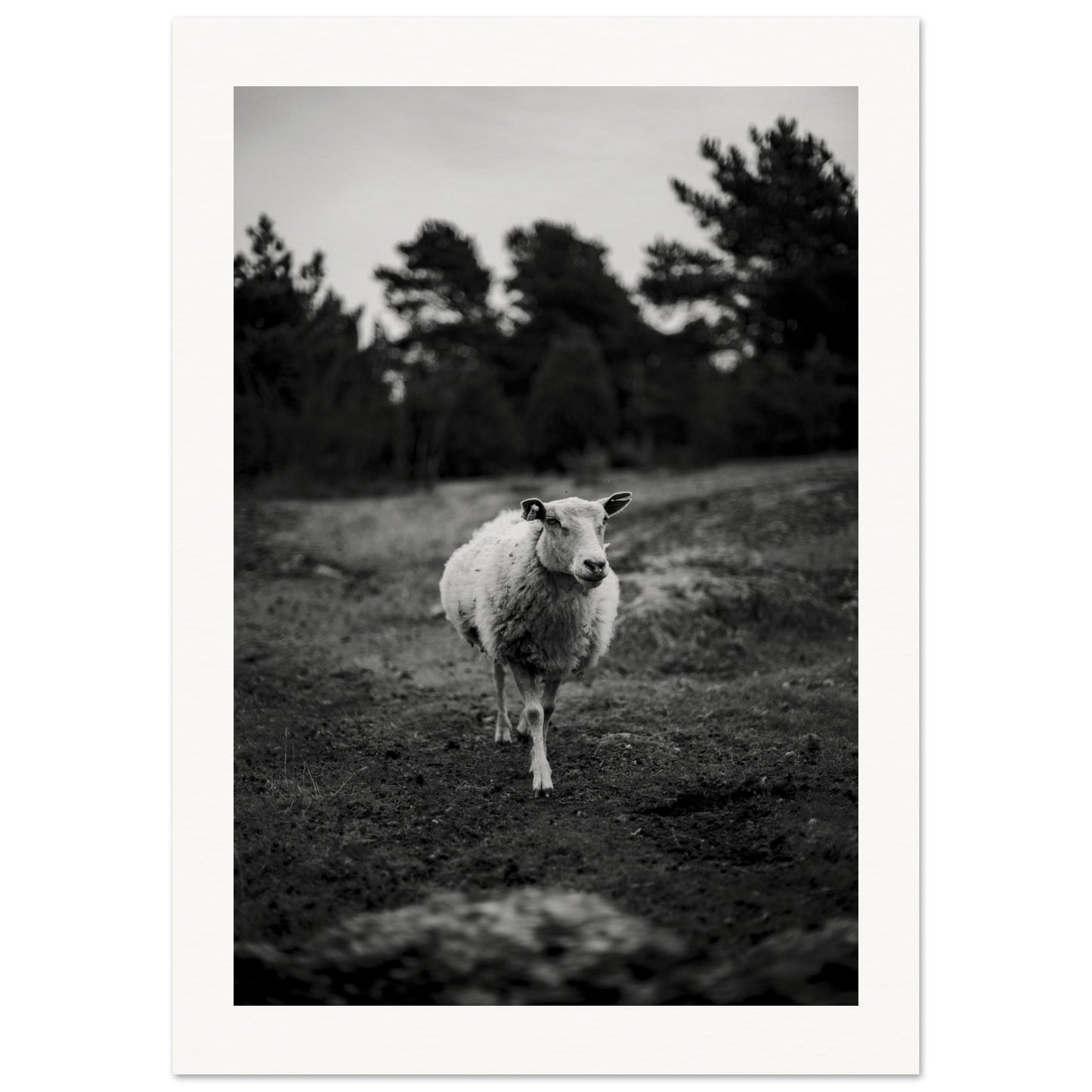 5c618dd9-512b-4a35-9ebe-477f56c48746