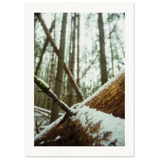 5e1d1446-7f1e-4b9a-b42a-aacae72de135