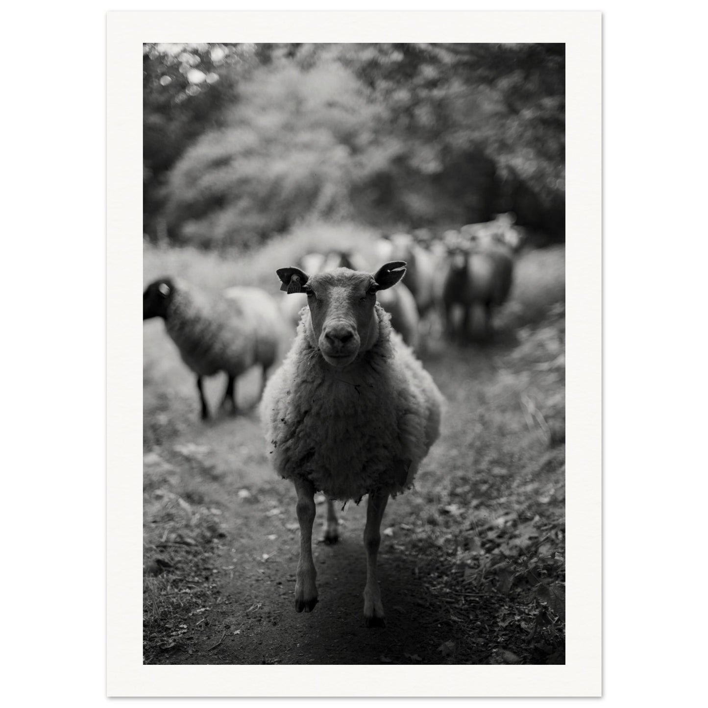 5fb6789c-db3b-456a-bc20-aeeeda9c7be4