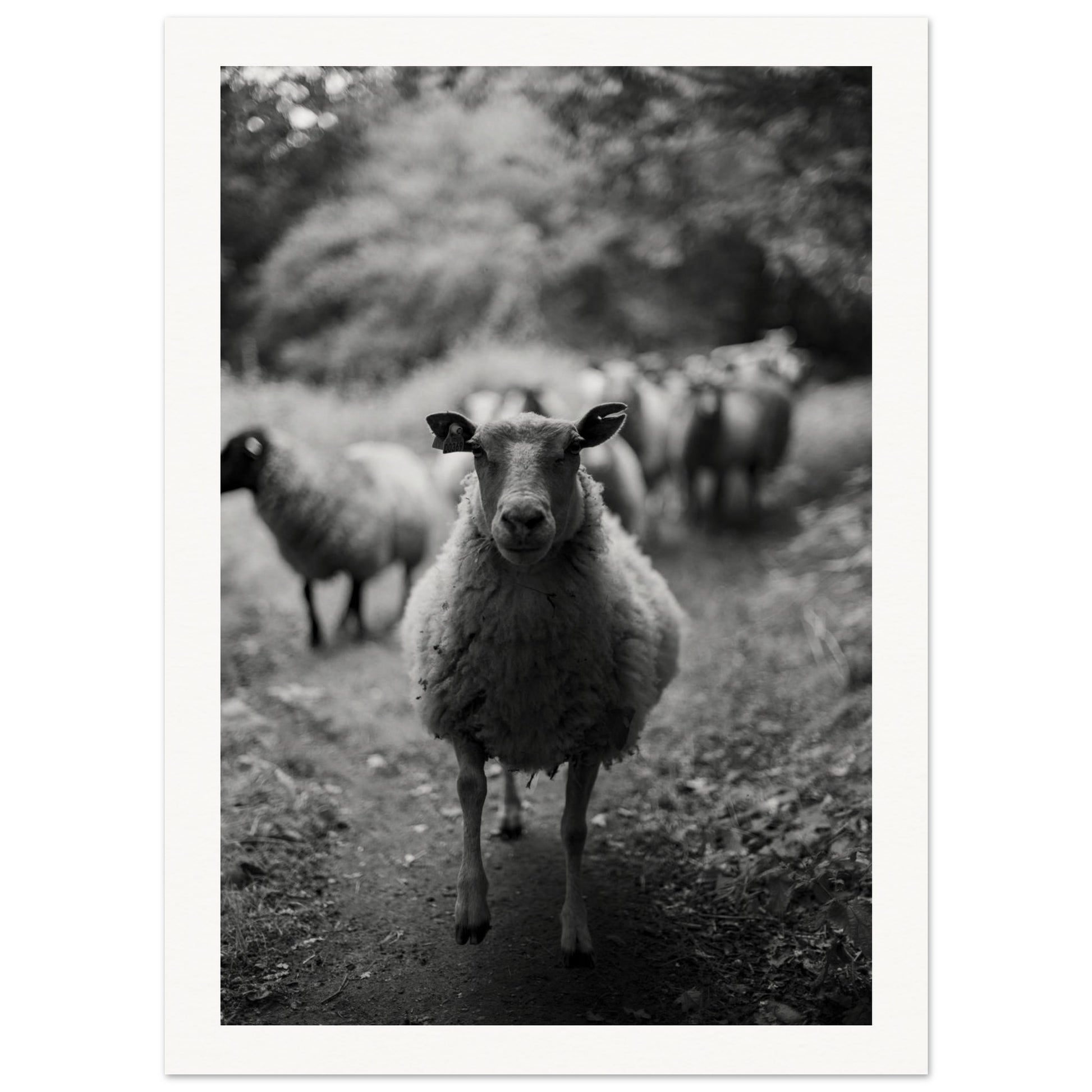 5fb6789c-db3b-456a-bc20-aeeeda9c7be4