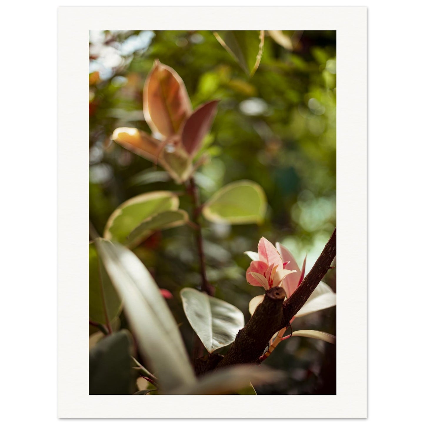 5fd58fd4-97f8-4a01-b357-bfd0cb393617