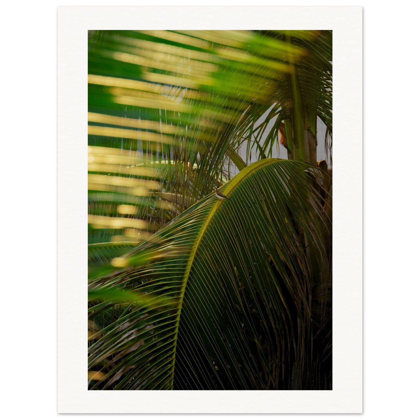 609856de-db40-4cbc-bf8e-3622963ab658