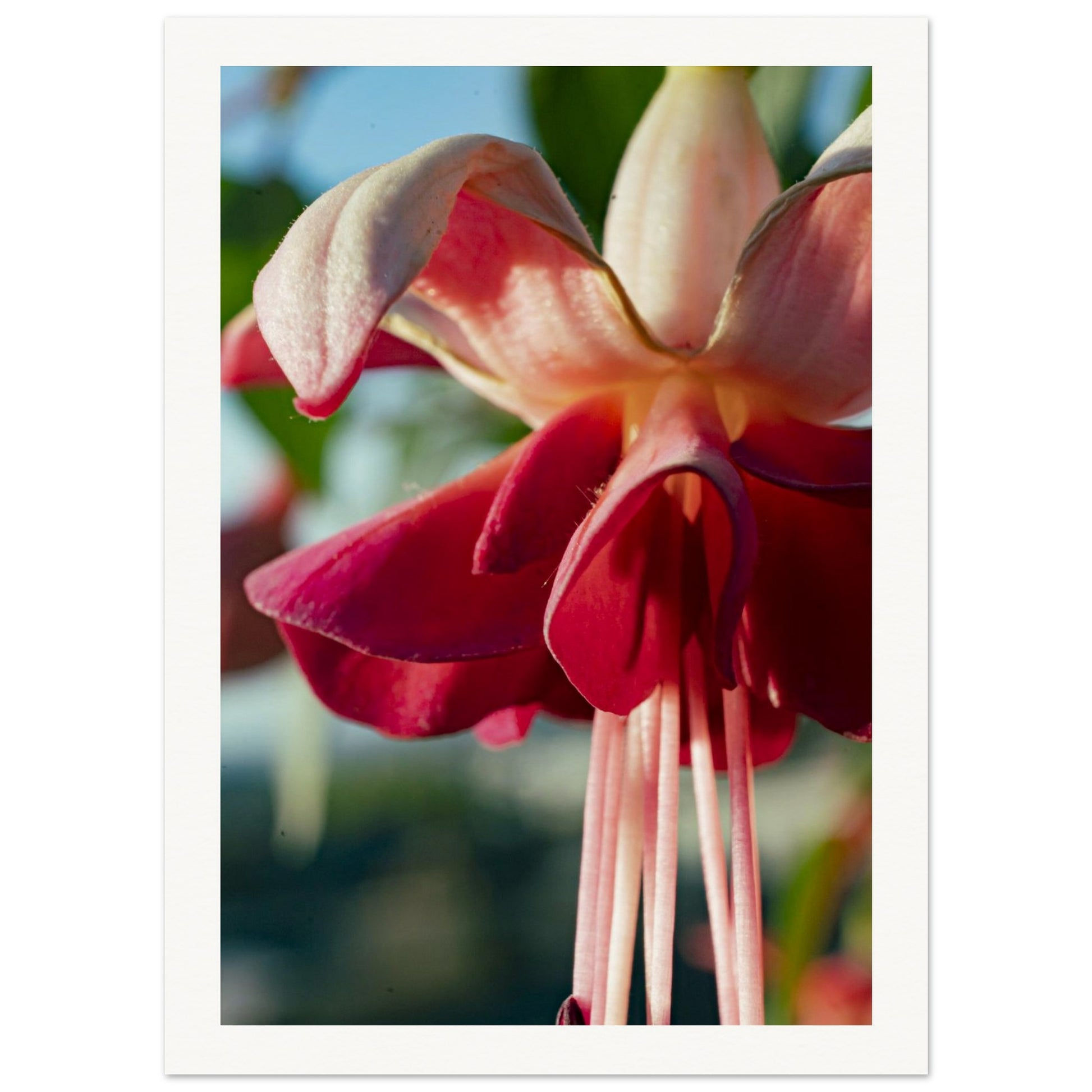 63904fb6-4a24-48b8-9ee8-e2ca2555dd29