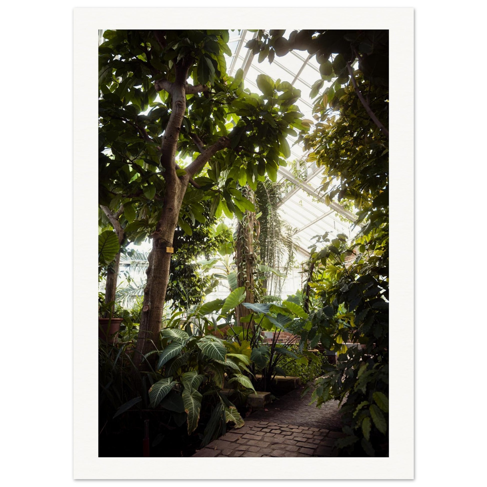 65101147-bf0b-43b8-a9de-97414a347e68