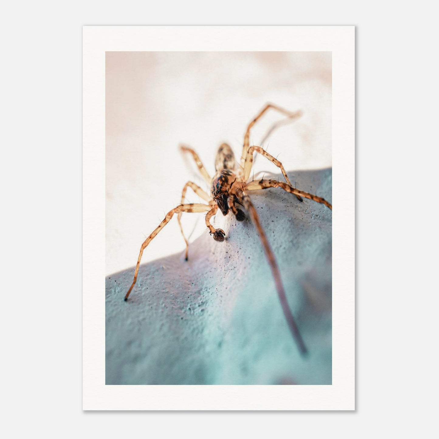 6561d697-1f88-4596-85af-57baf2b780da