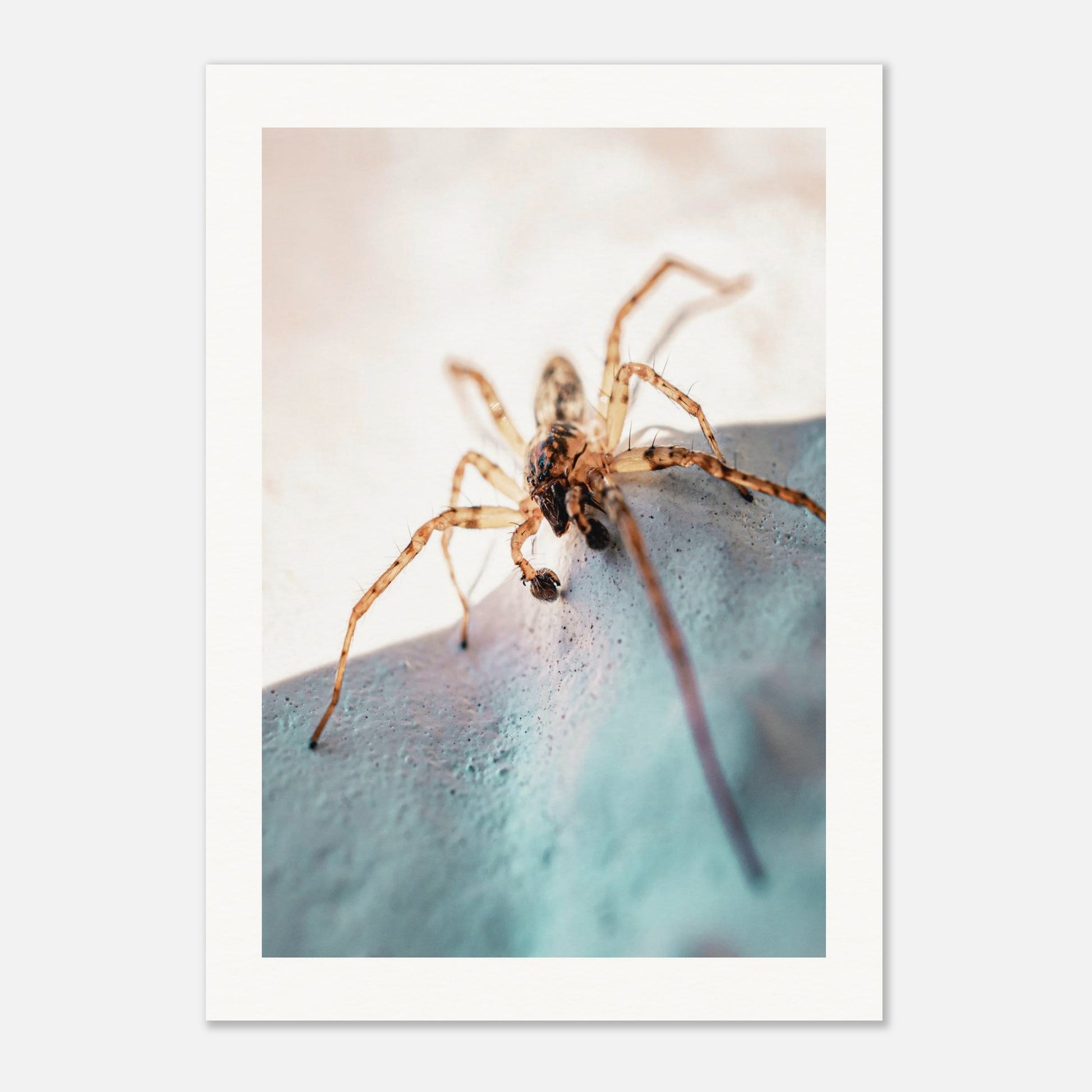 6561d697-1f88-4596-85af-57baf2b780da