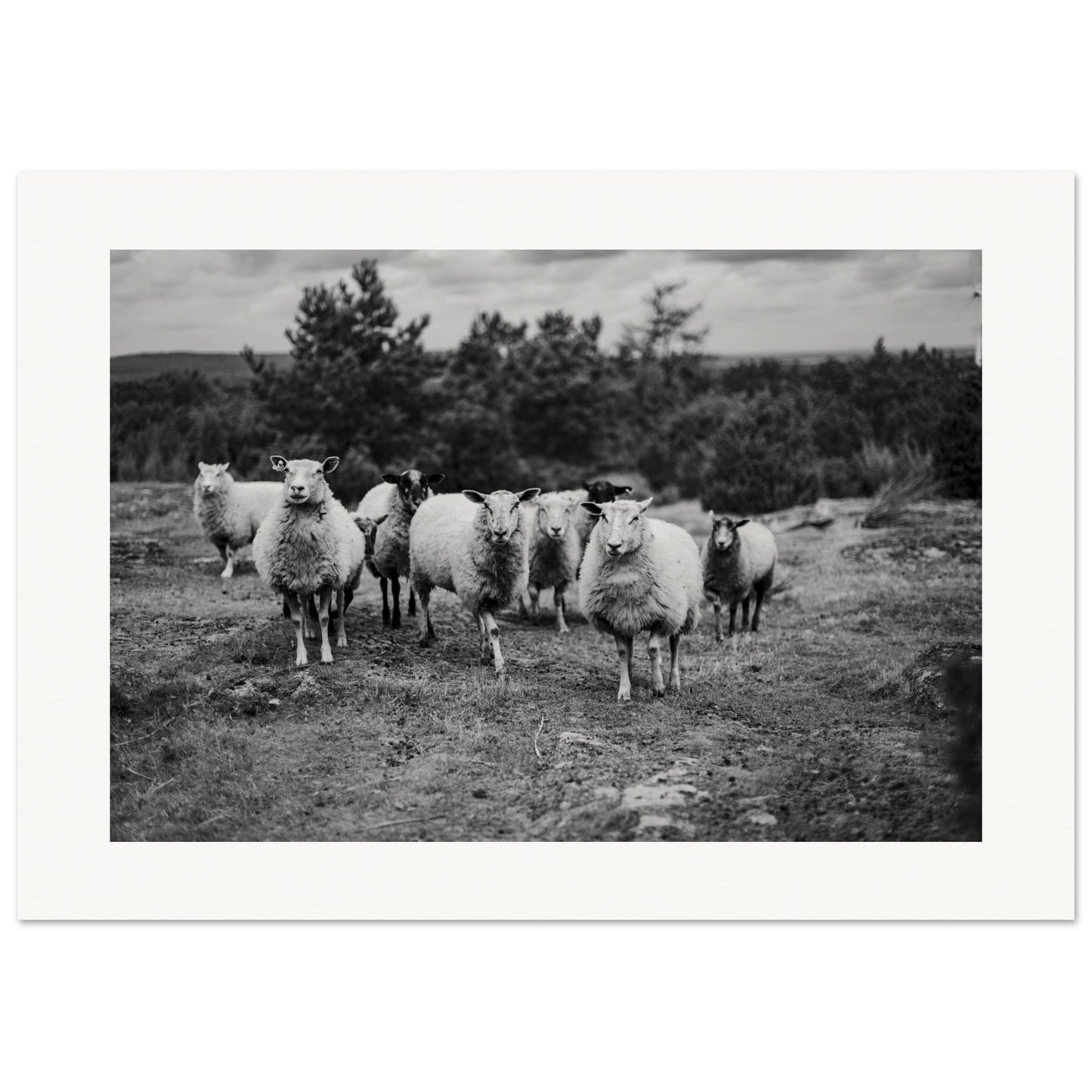 657718b0-175f-46c4-9c9a-bf107f1020af