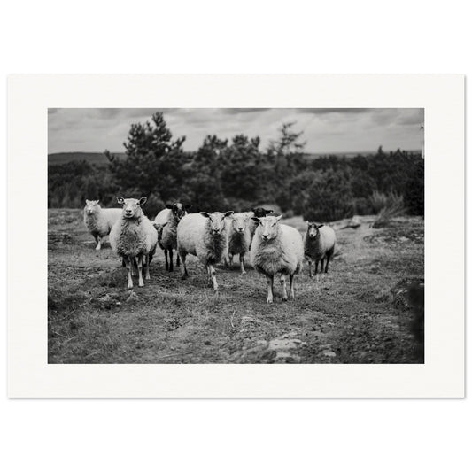 657718b0-175f-46c4-9c9a-bf107f1020af