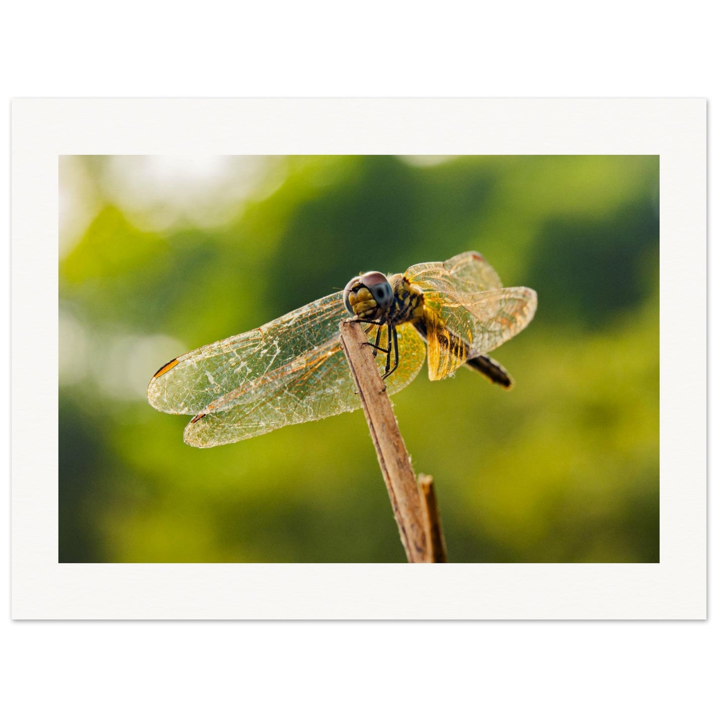 687c3b16-6b0e-4e5c-bc92-26e9a97f3b88