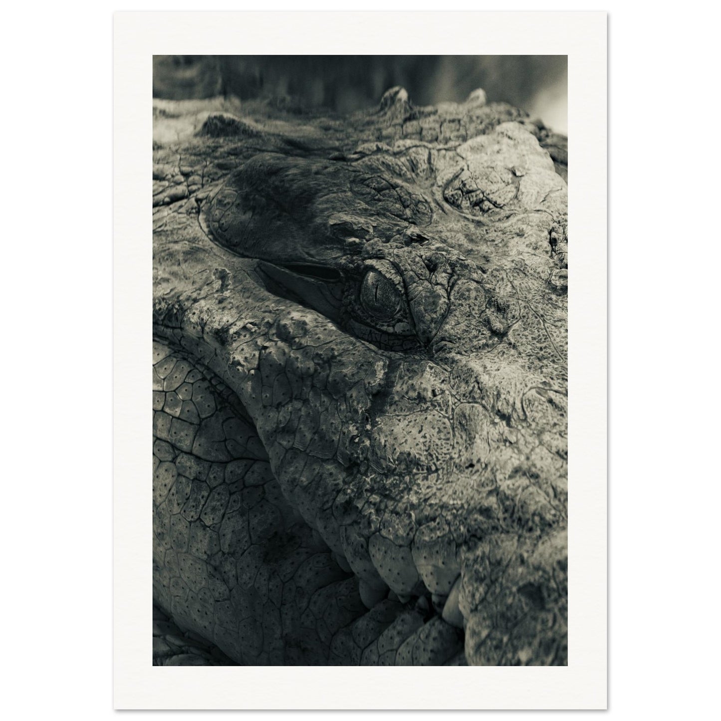 6bfa45c6-9472-41d3-810d-299e4ff856ea