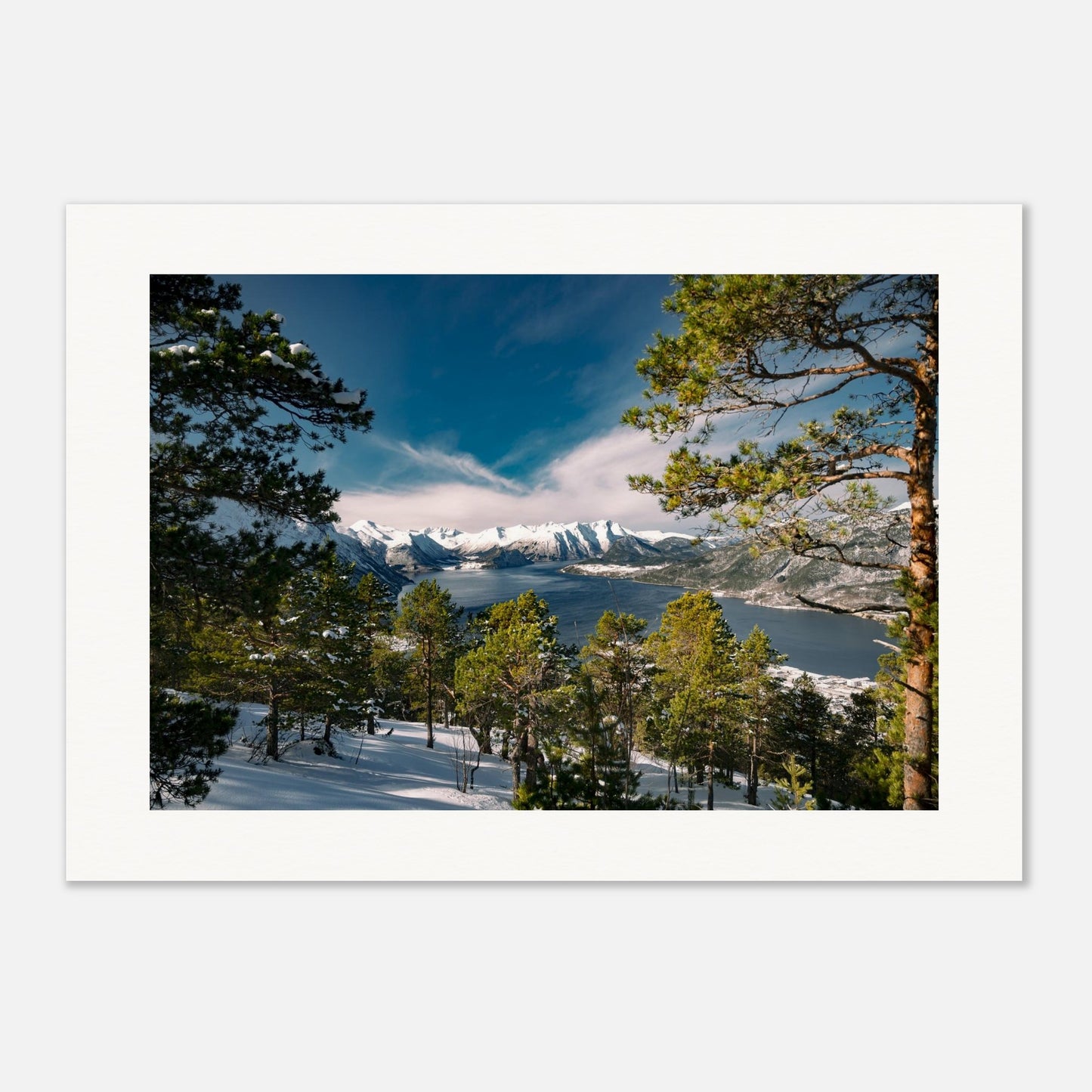 6d39cc41-f466-48e8-9b92-874b0754cf49