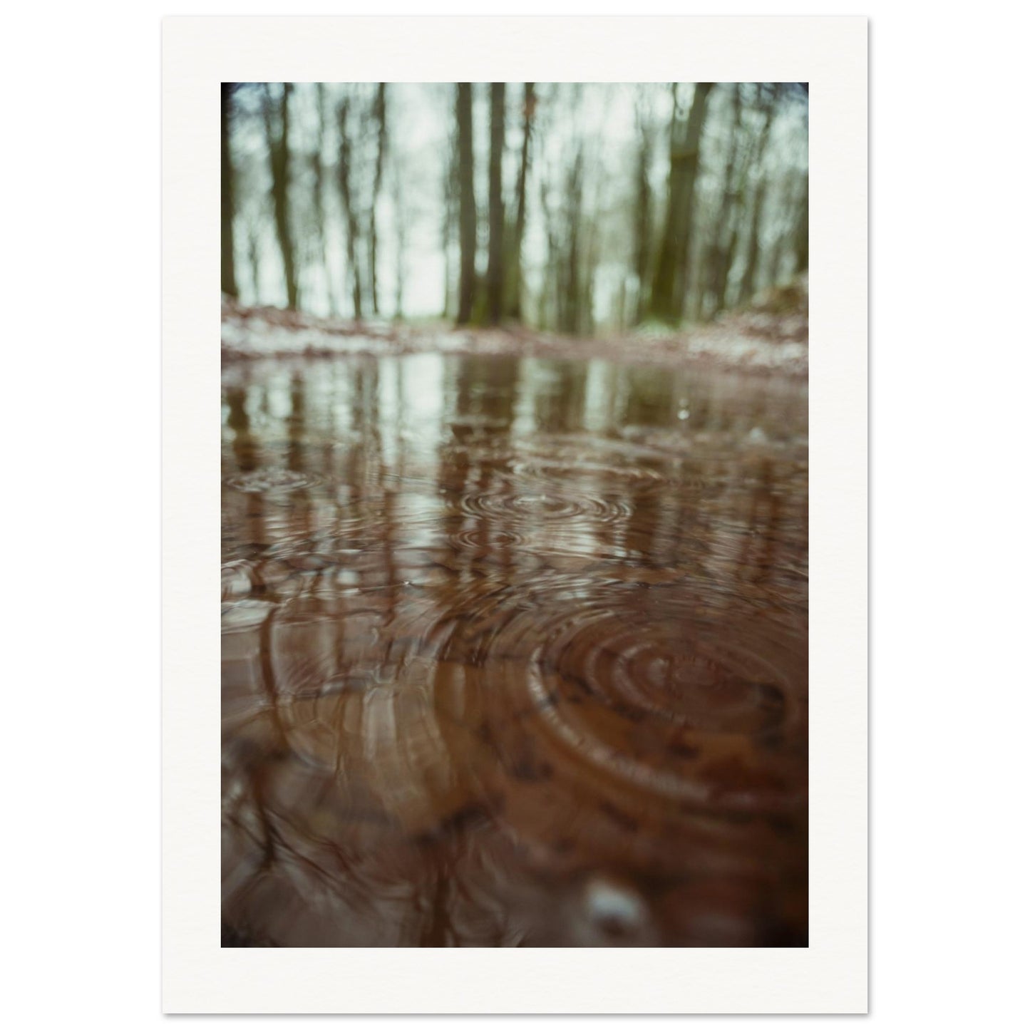 6e47c87c-8dcc-48de-8cff-e2f4875b006e