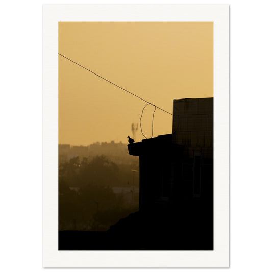 6ef0940b-6b47-4ef2-ac92-3f823d8d225b