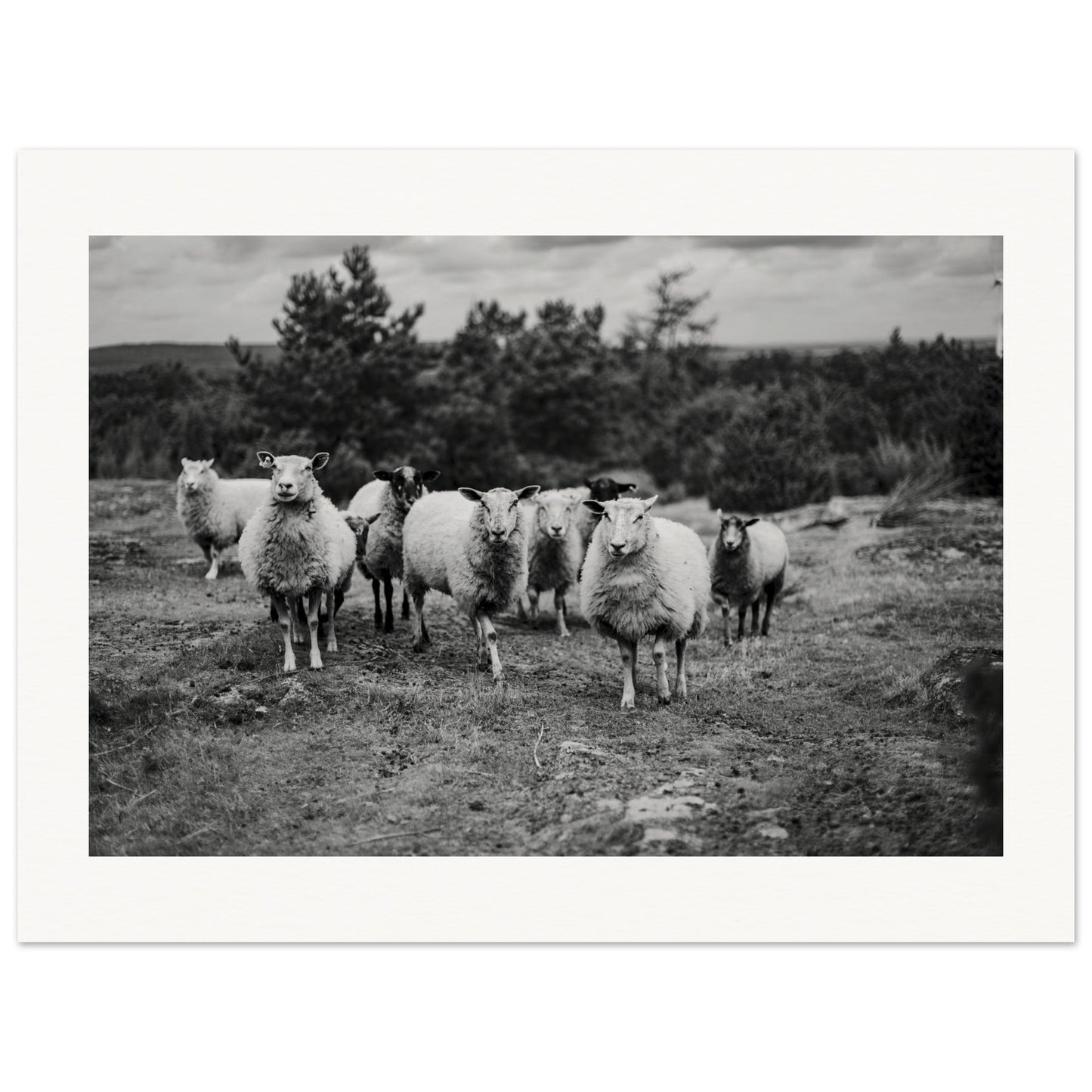 6fd5f49f-0353-430a-b207-ceea39fbe040