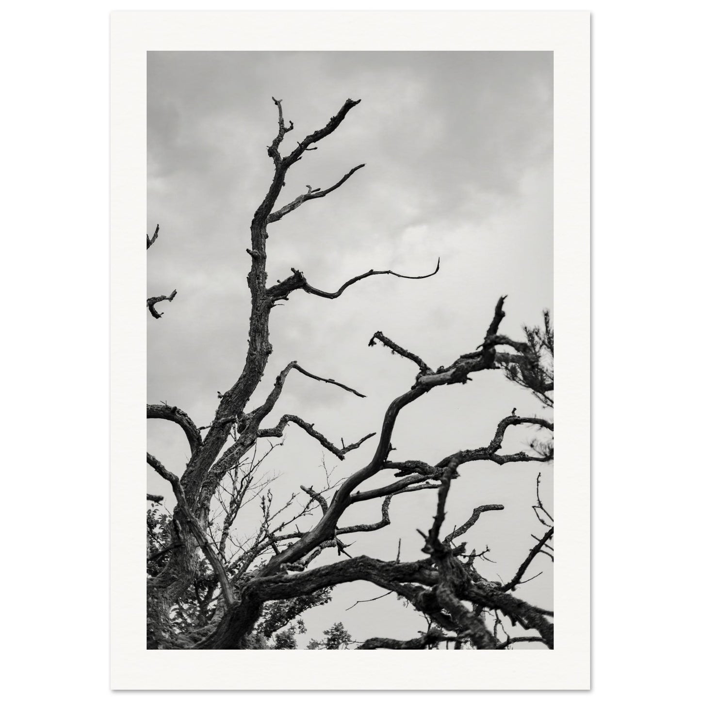 70ad3670-14b3-4ca5-bdf3-a451a88a9b98