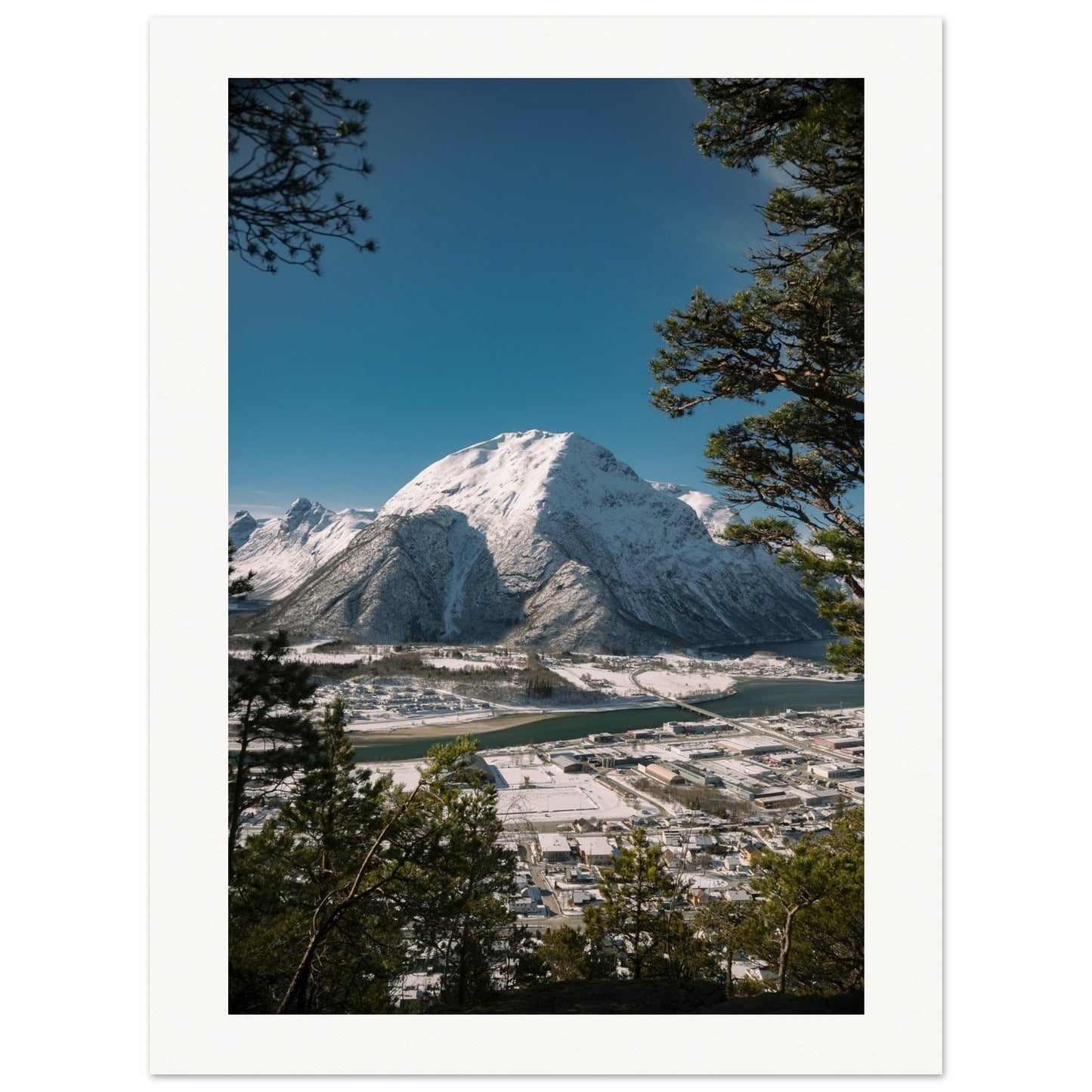 72d9f5b5-6102-44a2-a553-cba33d9a3424