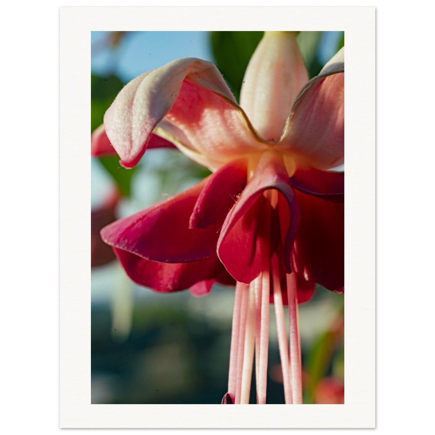 7344967f-3d69-4d1f-823b-9043ca16d288