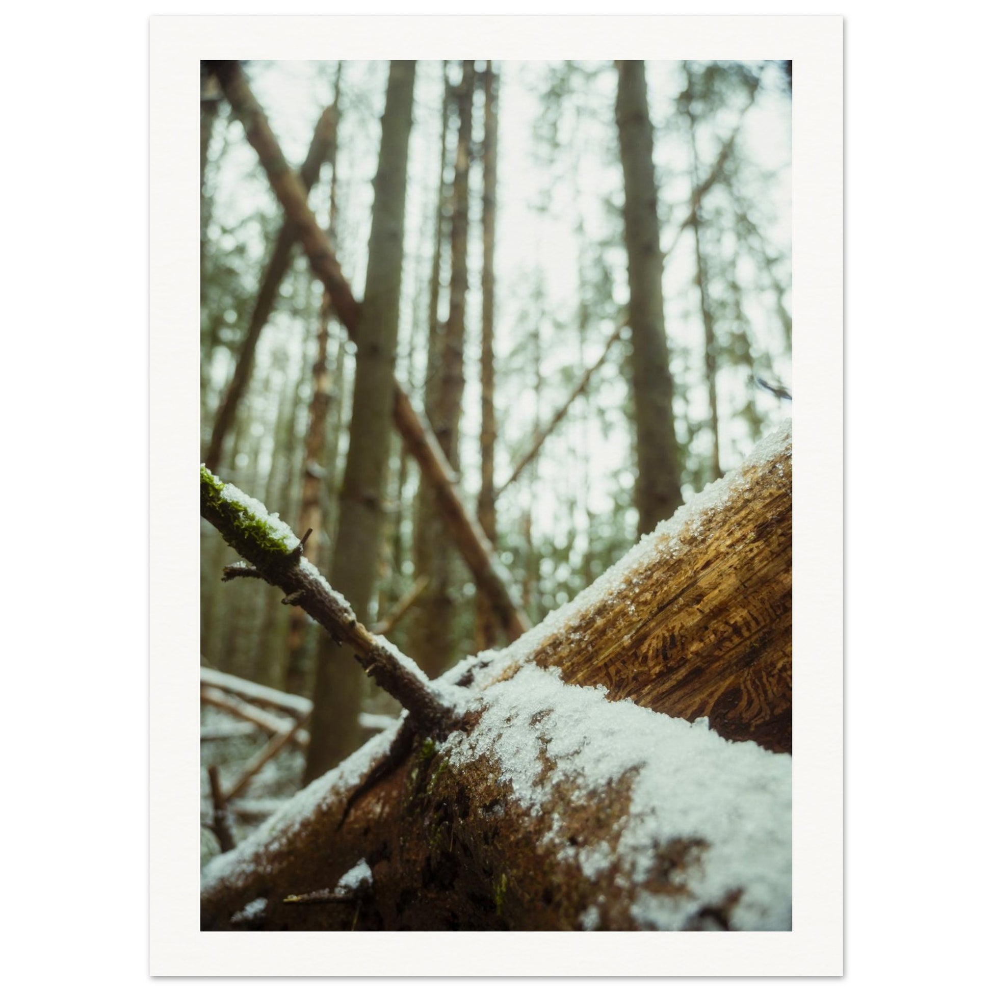 744557f6-03d8-4efd-bd72-f0b296e5486e