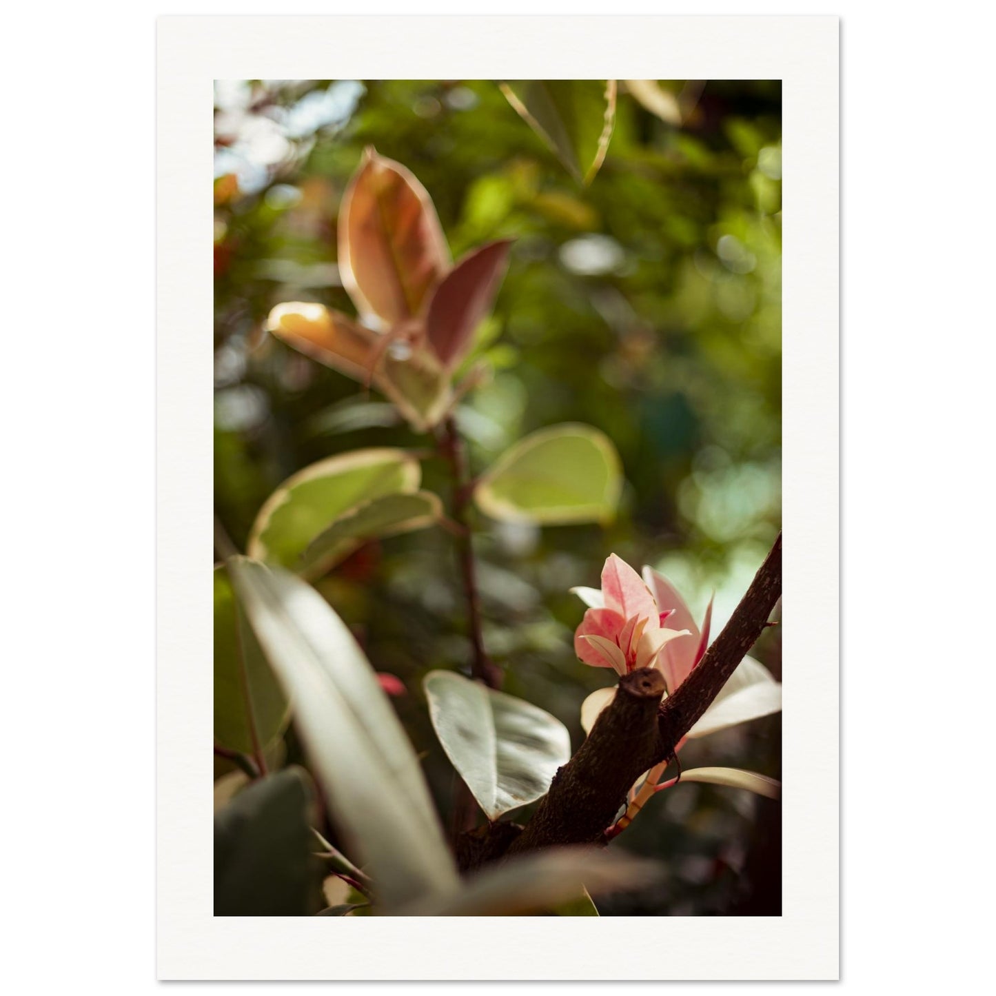 76fd6924-5231-4259-b7fa-e30369d321c3