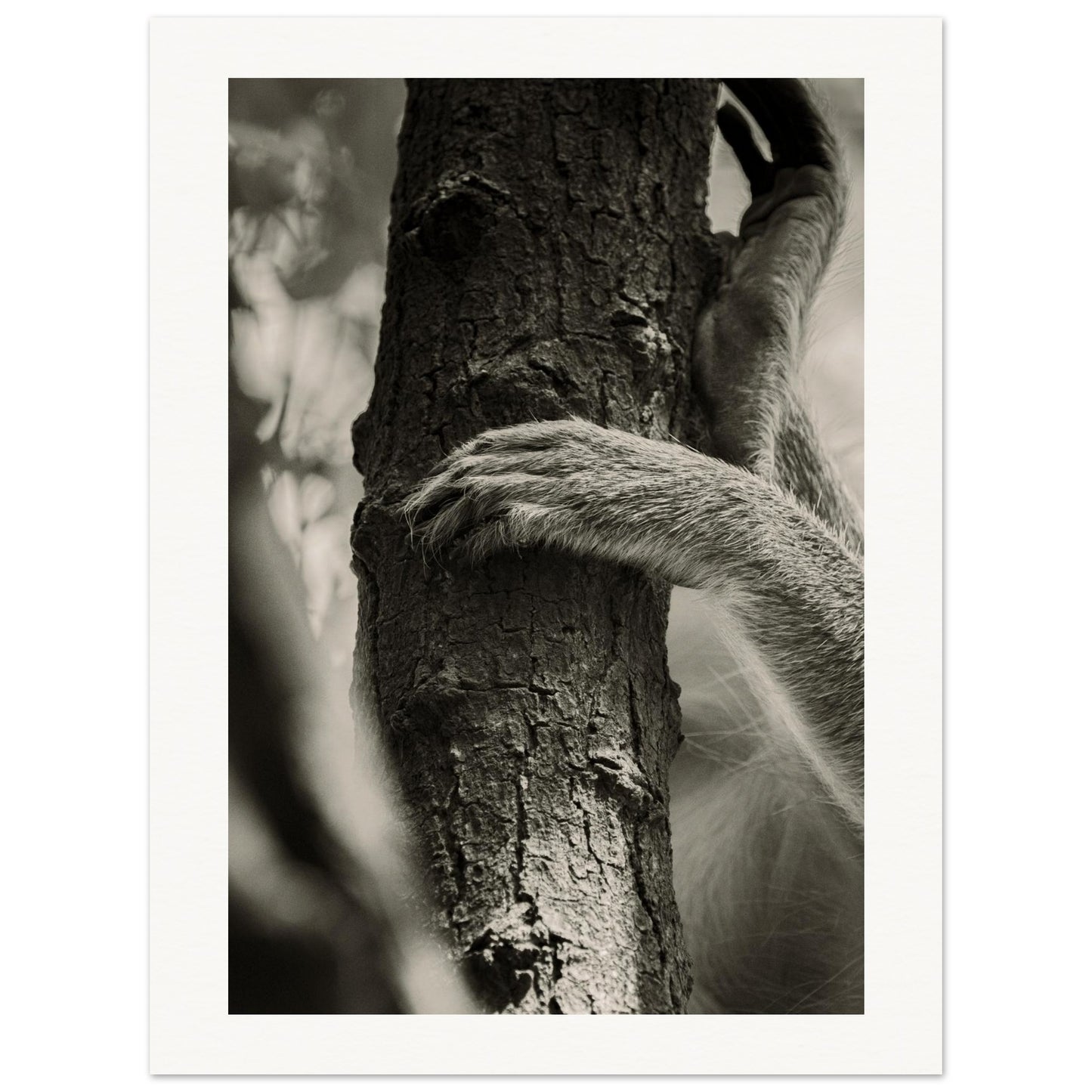 7823001a-438c-44a3-bc7a-f28f86370c2a