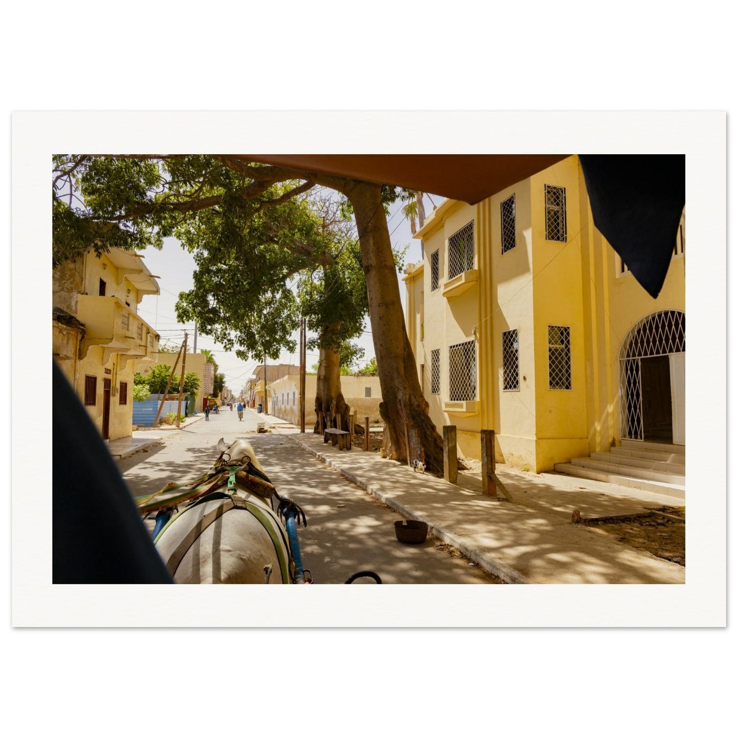 792ae4e0-fc67-4c1f-84b0-f150ddf9f89e