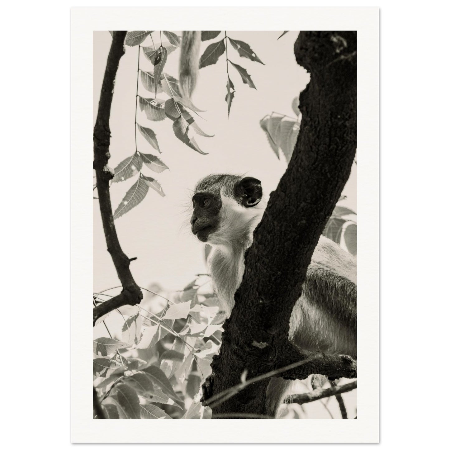 79acd3fa-32e7-490f-aea7-16e7513a8fdb