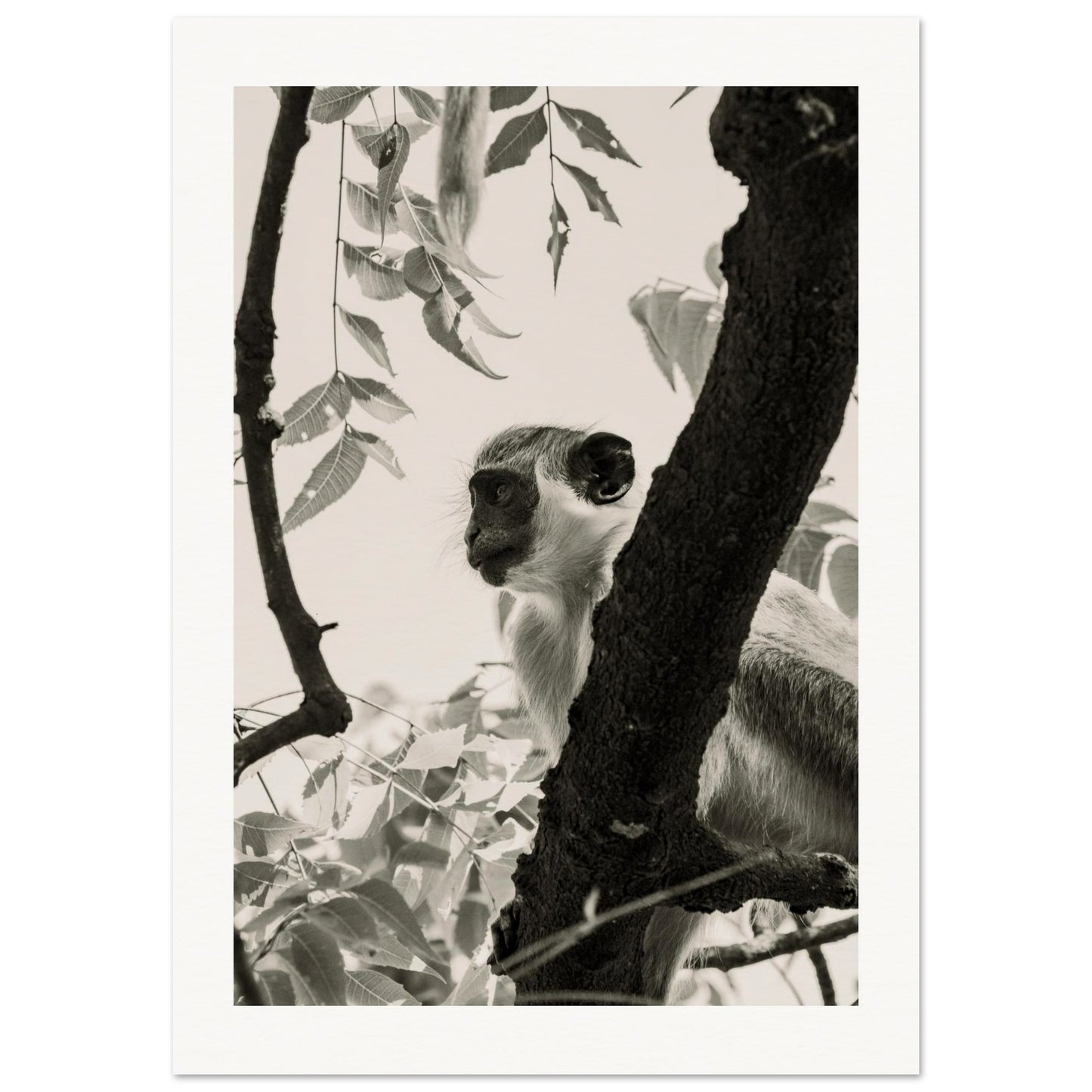 7a94271e-db96-4f6f-8f2f-3f66a4b9b9e2