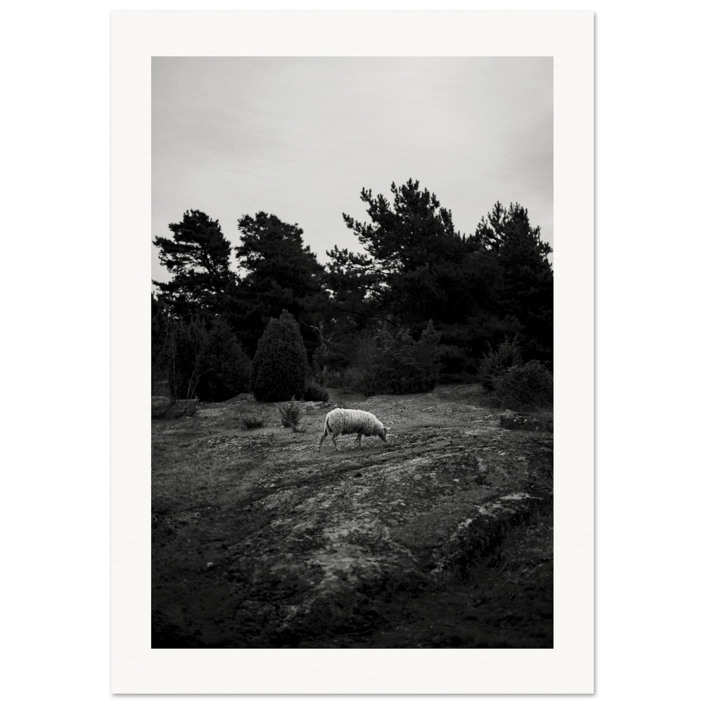 7c08ee74-87bf-4e44-97dd-d3b36b939107