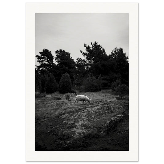 7c08ee74-87bf-4e44-97dd-d3b36b939107