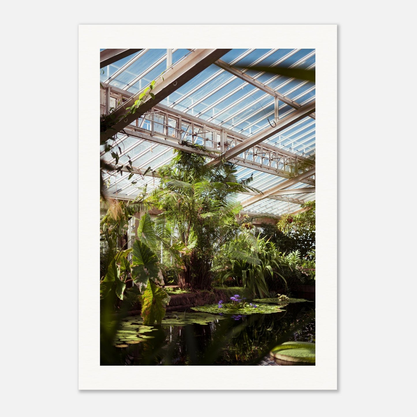 7c21c10c-1be6-47ac-a0c1-b48ff4a19d65