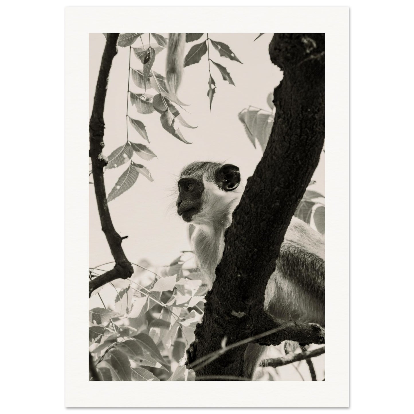 7ed337fb-6ead-4a13-a69c-5450f6947ca0