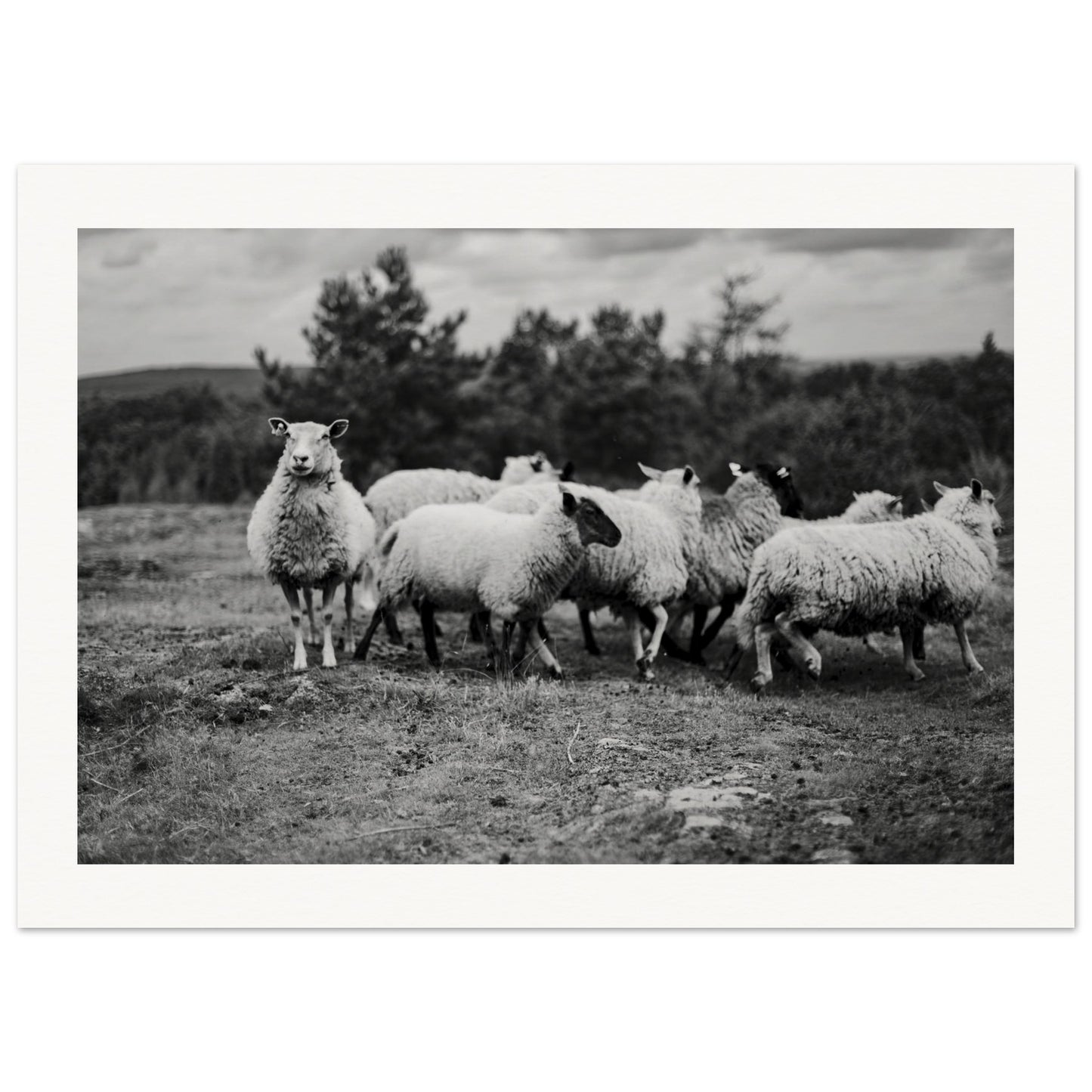 8048d1d3-f0fe-4a1a-80eb-0cd59fb94a1c