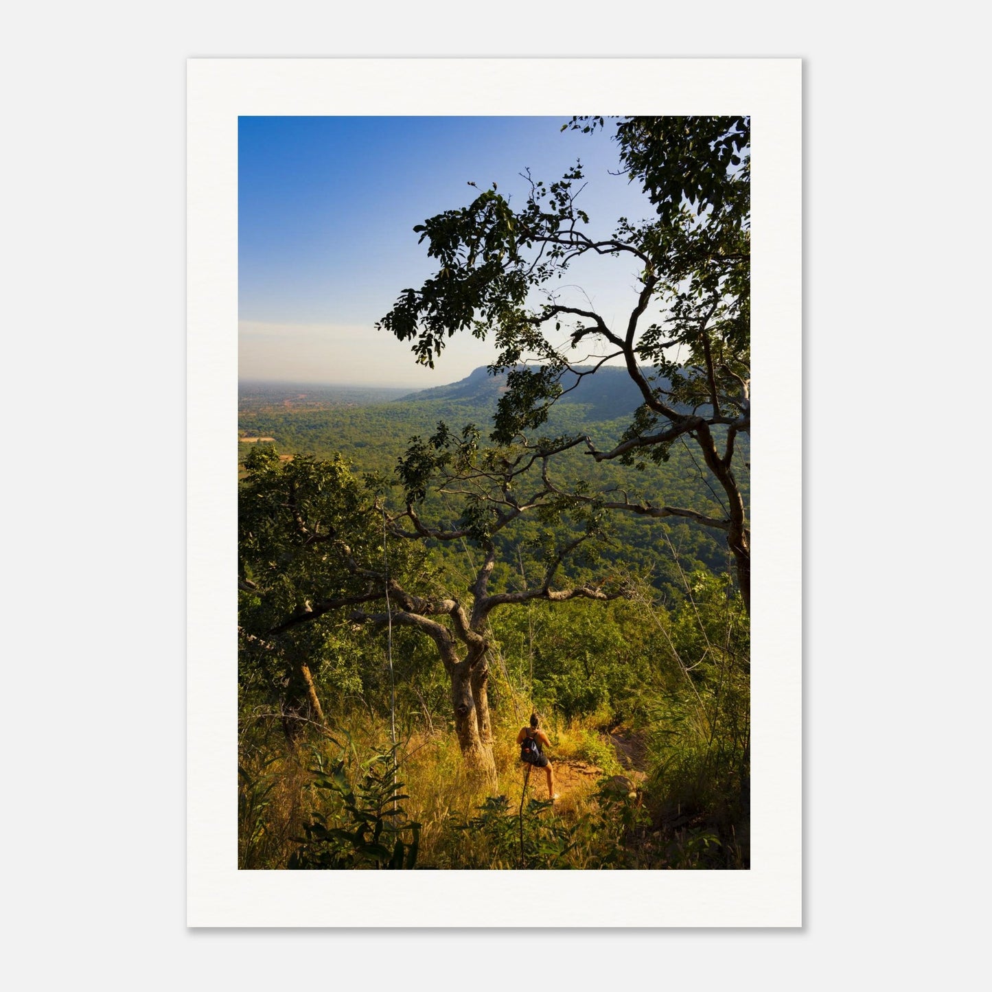 80a00382-b515-4f1d-b6bc-615ef648f000