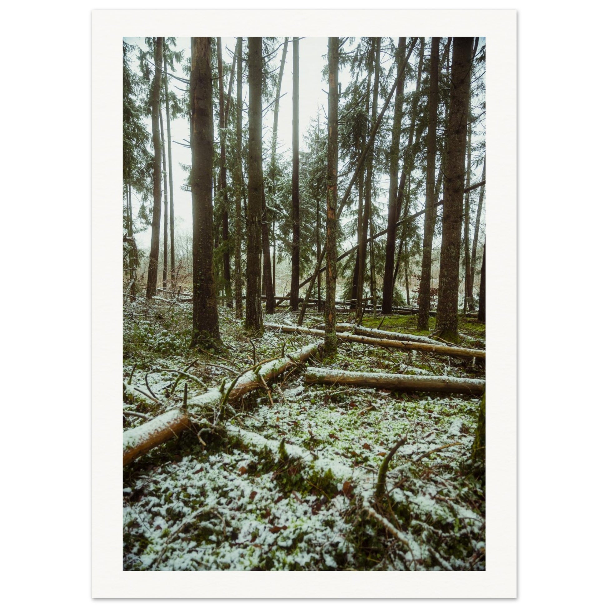 824bb581-1cc9-4dcf-97f7-548dfac1831b