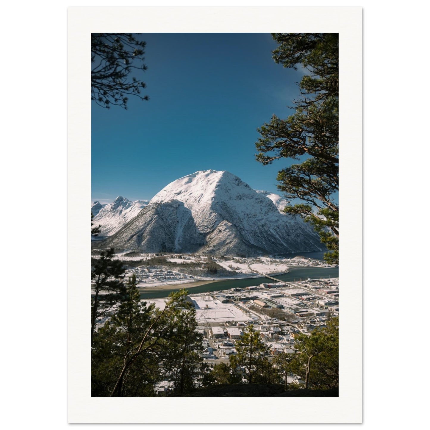 8317cf6e-e16b-437d-8a01-e45f2a879314