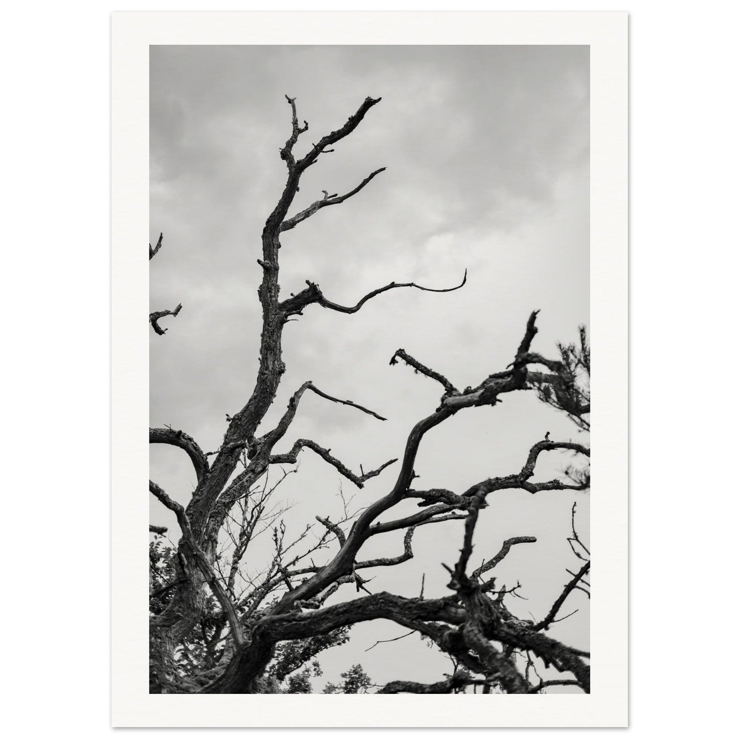 84479d97-f420-4b15-a717-9e2bb5aa932d