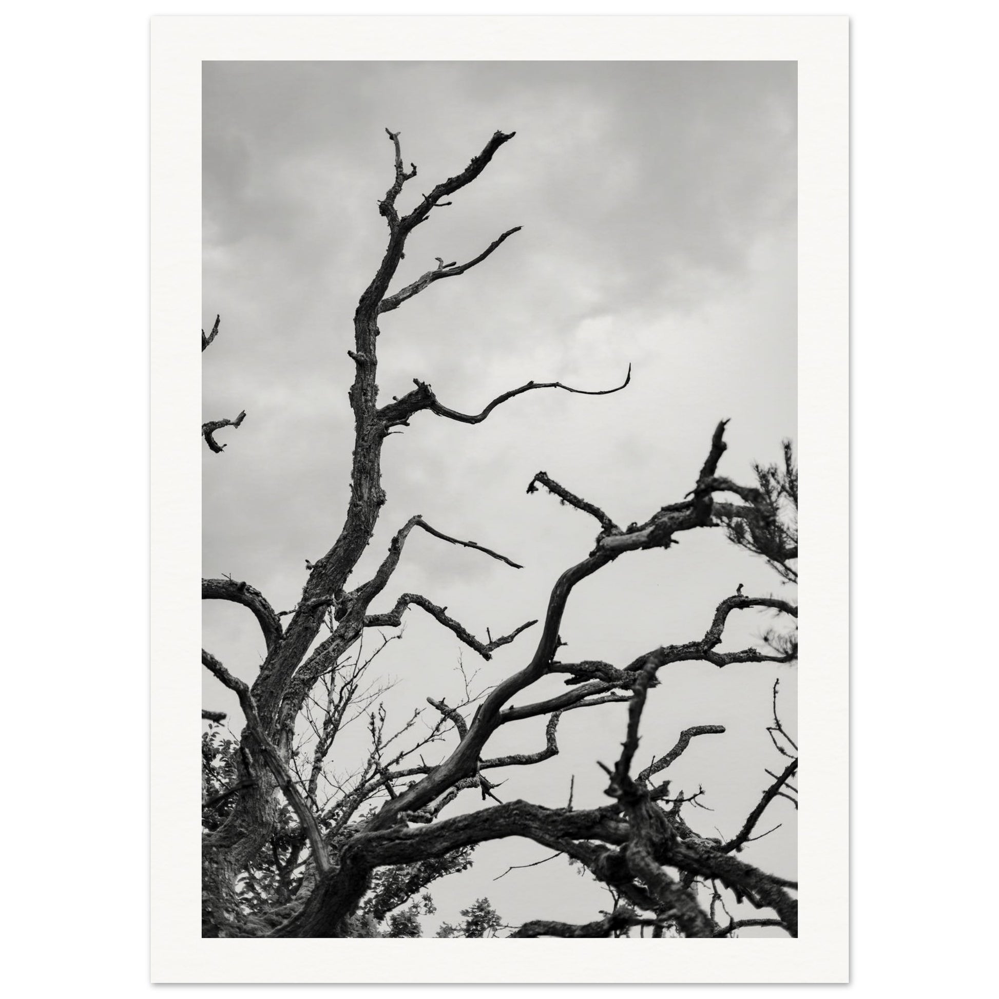 84479d97-f420-4b15-a717-9e2bb5aa932d