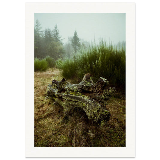 845dff39-ab31-48ae-99d9-590f96c8337b