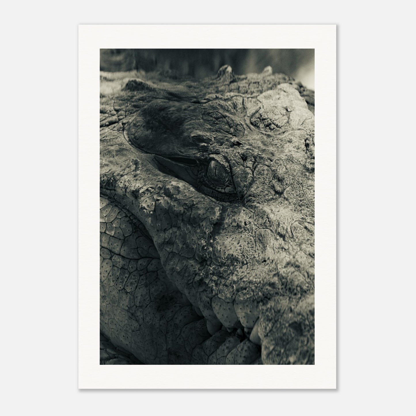 8489cd08-4046-4dd4-8fcf-4f1f81e53162