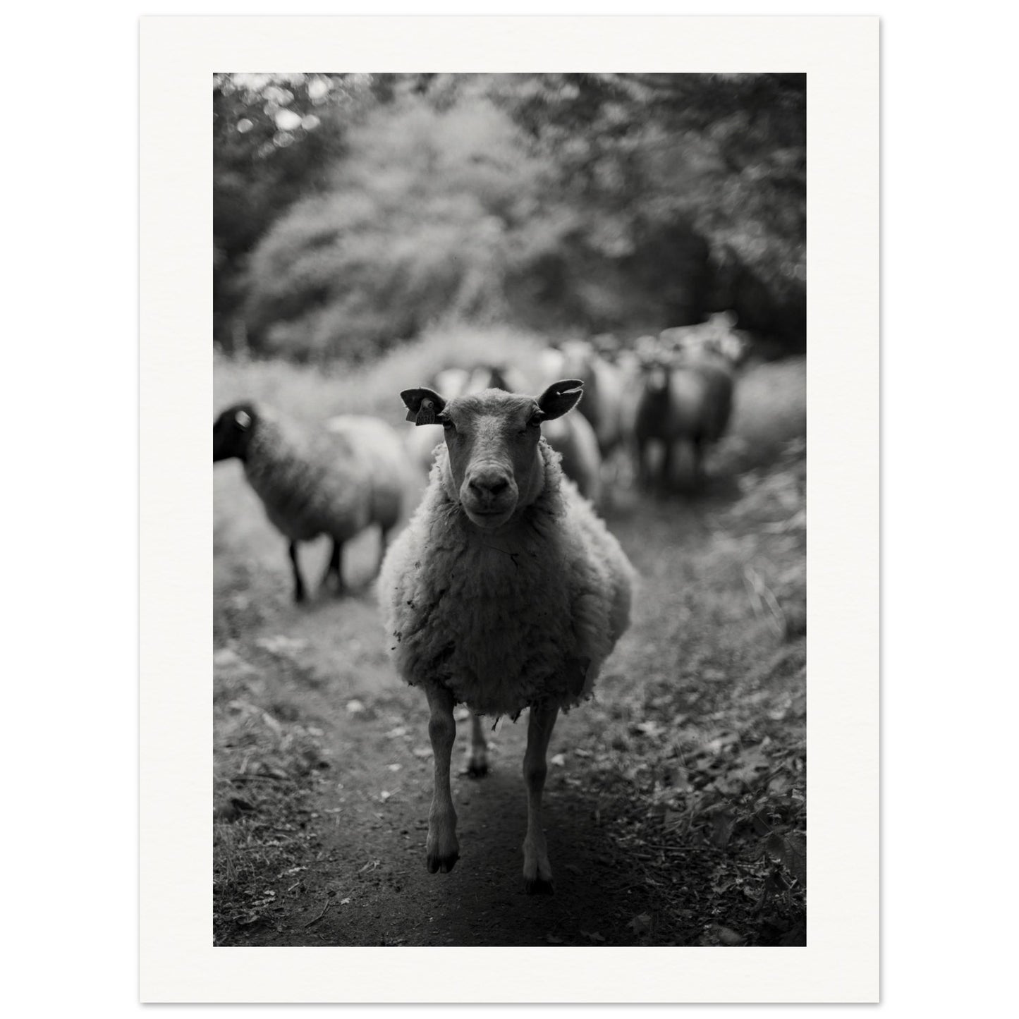 865ceed0-981b-4b7e-8e1d-caf601fb80d4