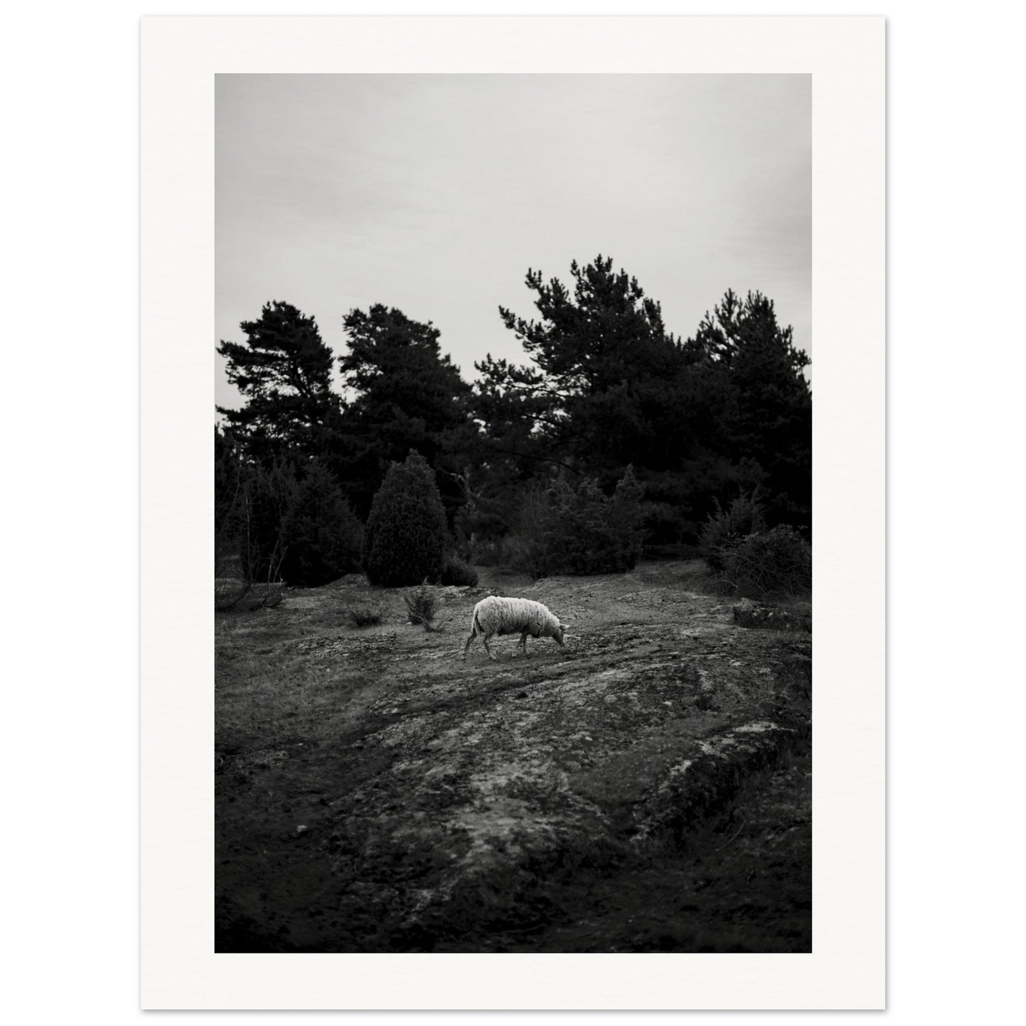 87bff723-075d-483a-a63f-55668723cc09