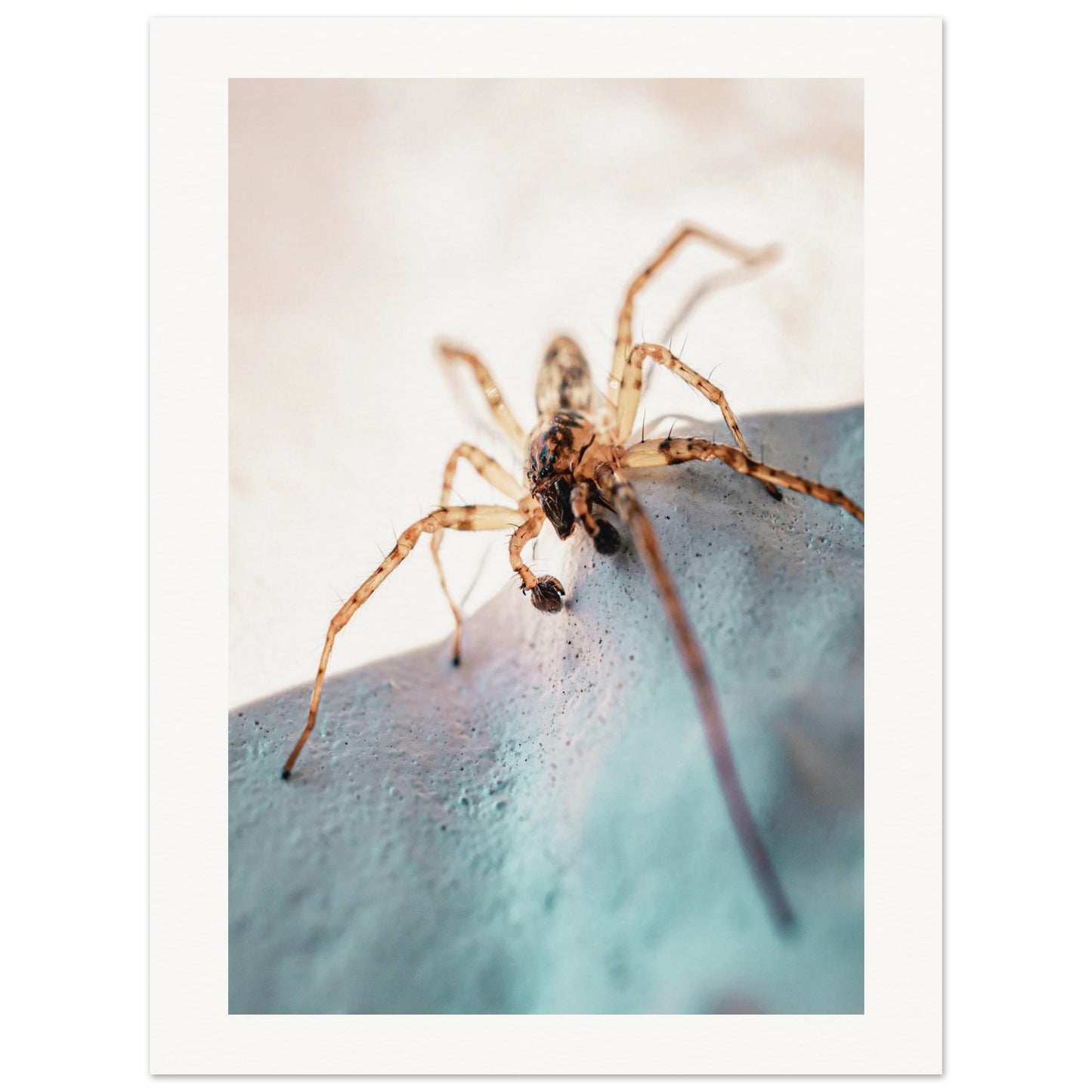 88b4db24-3611-4789-90f1-b0084169a5f0