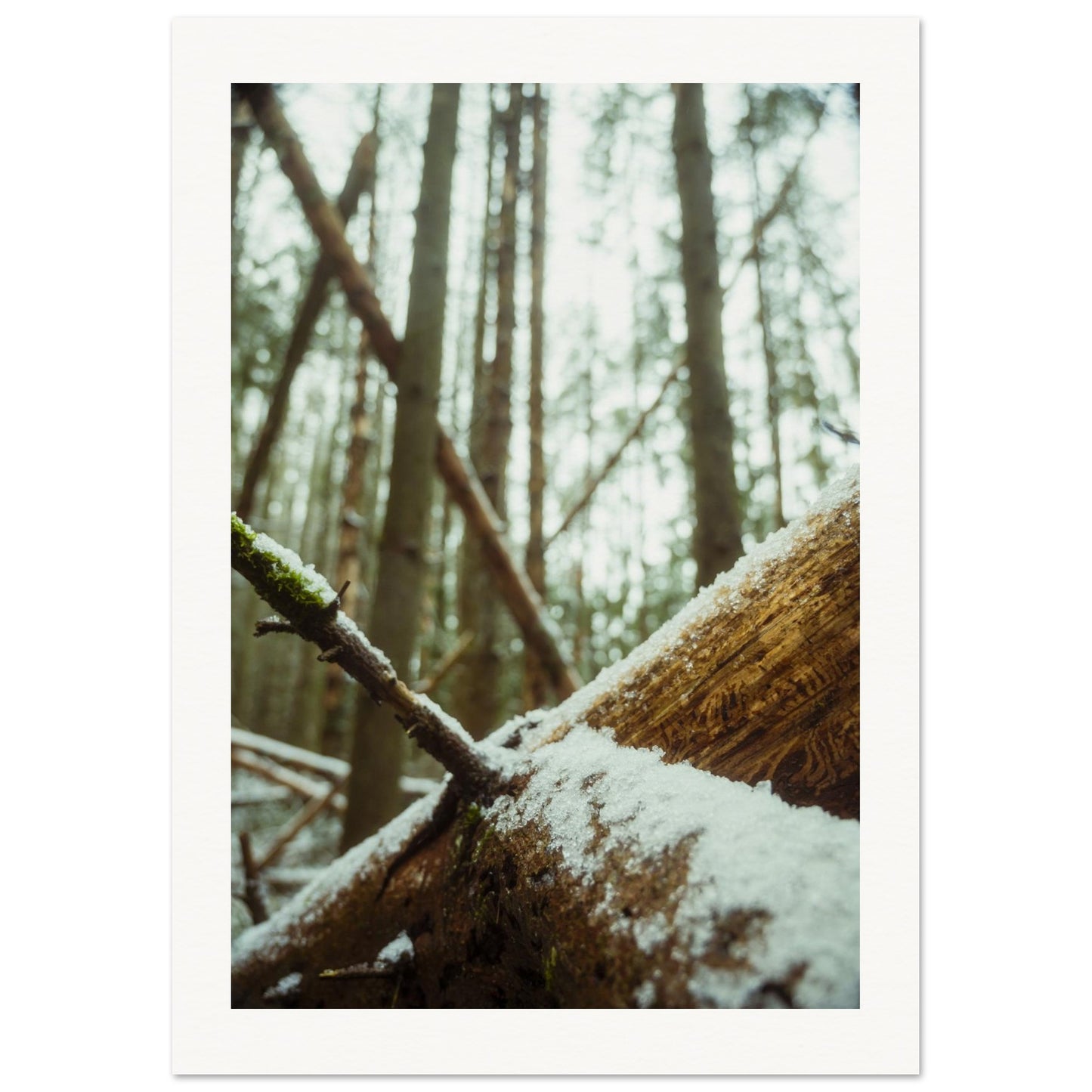 897b6e1d-b7db-42a8-a408-6aae3cccdcc9