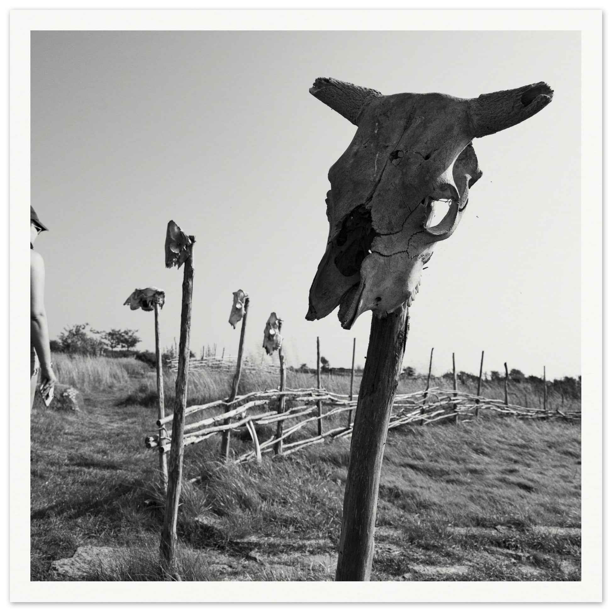 89b96aaf-05a4-448a-af44-23be32556f98