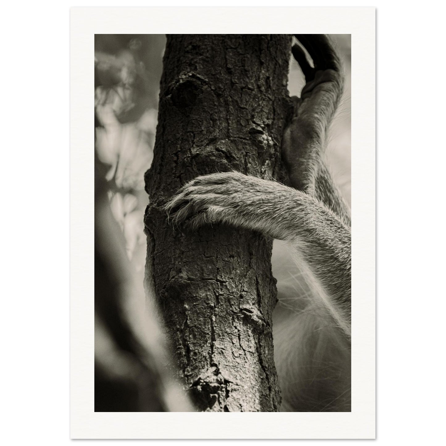 8a892c23-f582-4350-a64c-119ee9fef52a